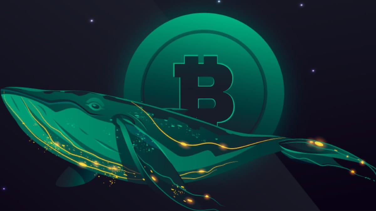 Dormant Bitcoin Whale Moves $1.26 Billion After Years of Silence, Sparks Market Curiosity