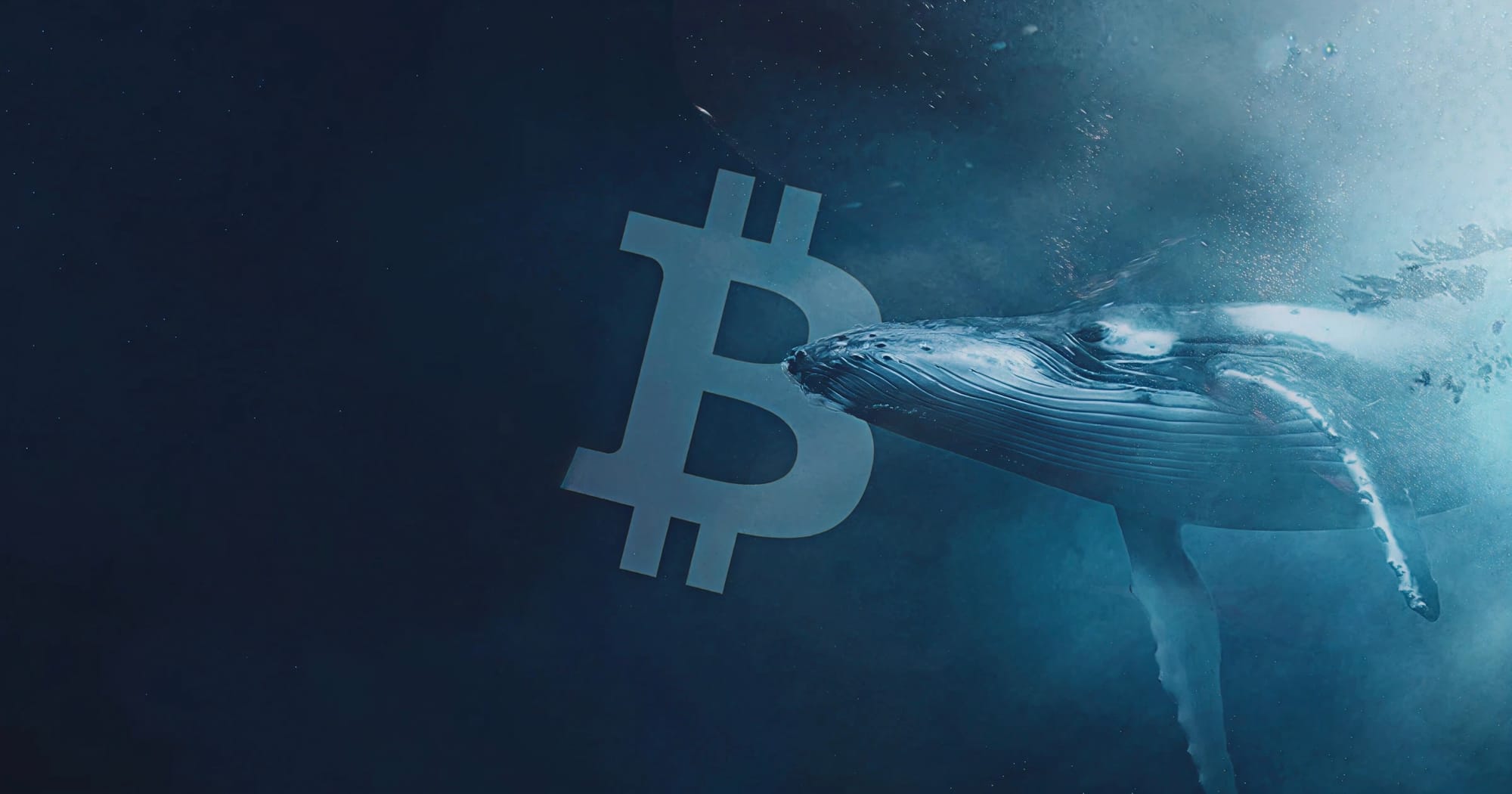 $3M Frozen Funds: White Whale vs. MEXC Puts CEX Trust on Trial