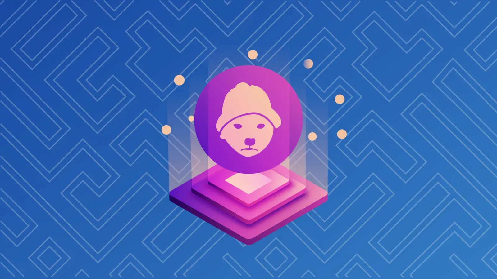 Dogwifhat’s Original Pink Beanie Sells for $800K to Memecoin Founder
