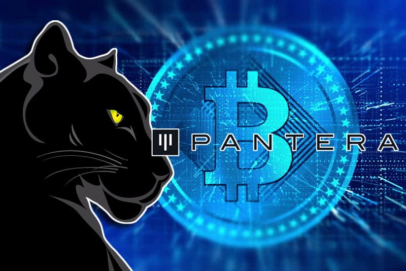 Pantera Capital Bets Big on Solana With $1.1 Billion Position Amid Growing Crypto Interest