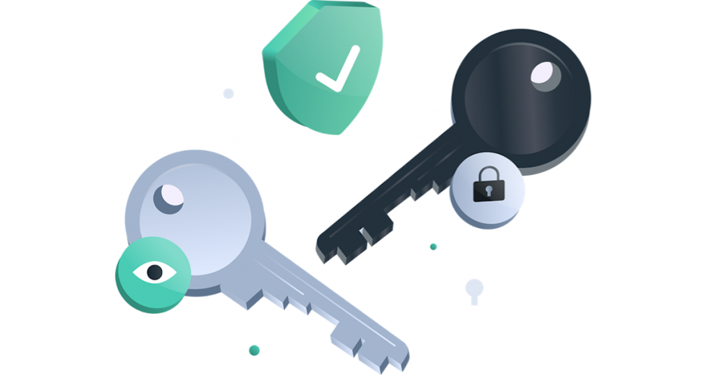 Understanding Public and Private Keys