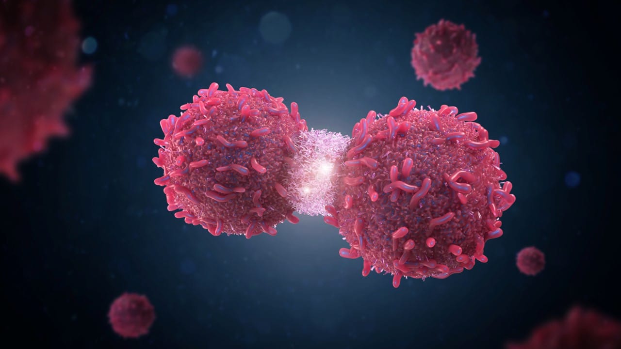 Google Unveils DeepSomatic: New AI Tool That Pinpoints Cancer-Driving Mutations With Unprecedented Accuracy