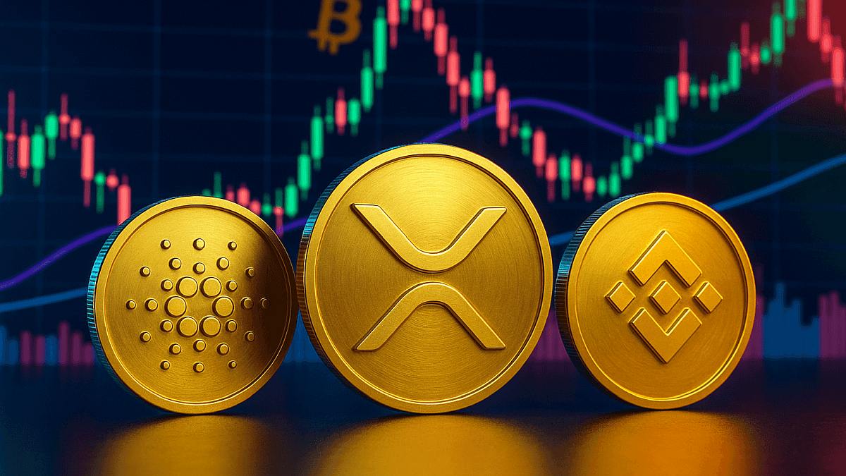 BNB Memecoins Crash After Binance Founder CZ Clarifies His Tweets Are “Not Endorsements”