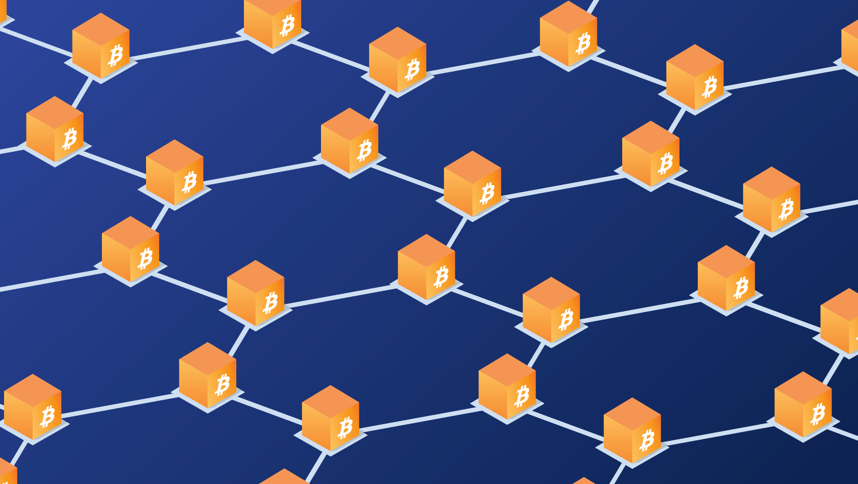 What are Bitcoin blockchain nodes?