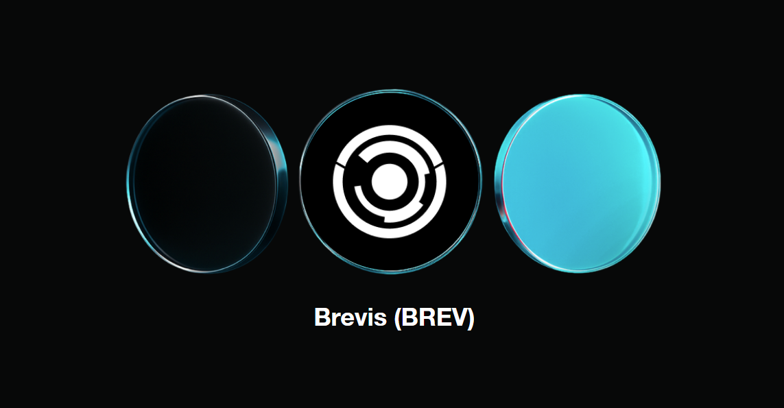 What Is Brevis (BREV)? A ZK Coprocessor for Web3