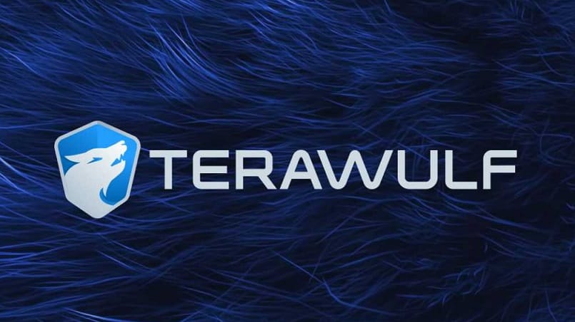 TeraWulf Stock Drops After $900M Equity Raise